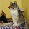 Отзыв от Жанна Рыжова